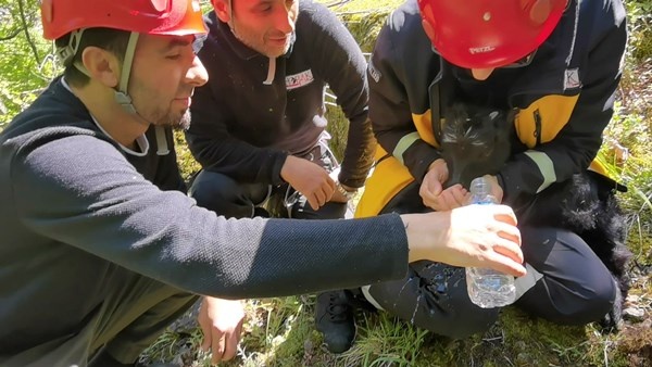 Artvin’de kayalıklardan düşen 2 aylık keçi yavrusu 24 saat sonra kurtarıldı 2