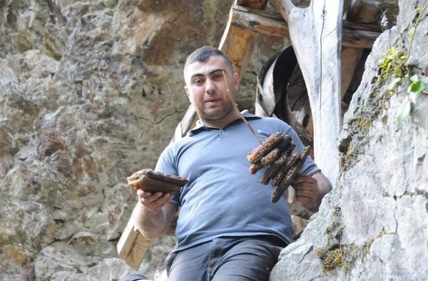 Artvin'de önce yatağına yatmış sonra kovanlarını parçalamış 2