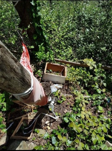 Artvin'de önce yatağına yatmış sonra kovanlarını parçalamış 6