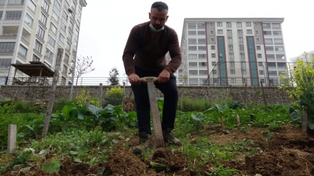 Trabzon'da lüks siteler arasında köy hayatından kopmadılar 2