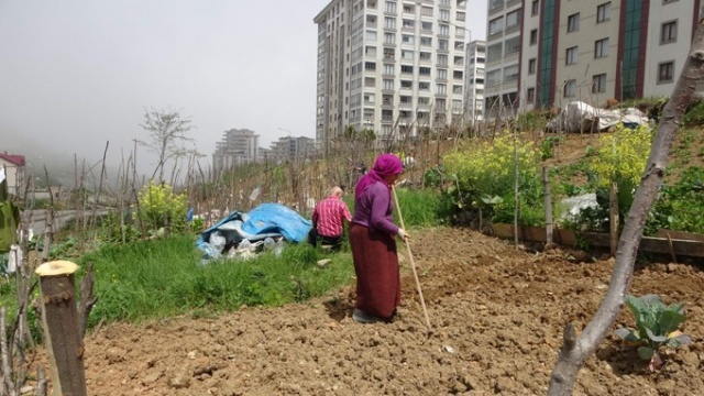 Trabzon'da lüks siteler arasında köy hayatından kopmadılar 8