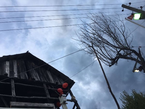 Artvin Köylerinin mezrasında ilk kez ezan sesiyle oruçlarını açmanın mutluluğunu yaşadılar 7