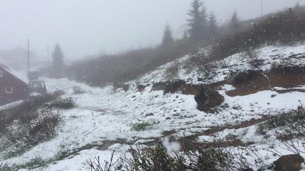 Doğu Karadeniz’de Mayıs’ta yaylalarda kar sürprizi 5