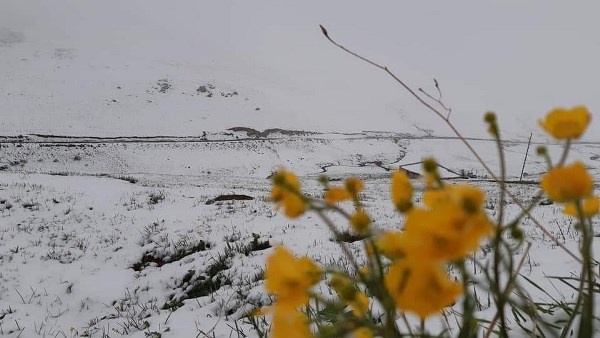 Doğu Karadeniz’de Mayıs’ta yaylalarda kar sürprizi 2