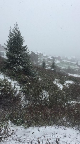 Doğu Karadeniz’de Mayıs’ta yaylalarda kar sürprizi 3