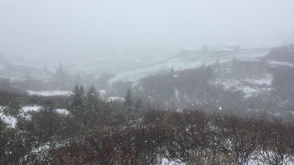 Doğu Karadeniz’de Mayıs’ta yaylalarda kar sürprizi 6