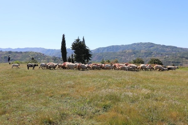 Başkan Ekim’den bayram ziyareti 12