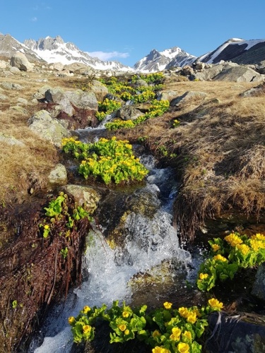 Karçal Dağı'nda kartpostallık görüntüler 4