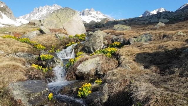 Karçal Dağı'nda kartpostallık görüntüler 8