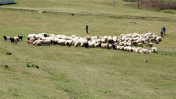 Trabzon'da 8 yapay gölün ilki tamamlandı 10
