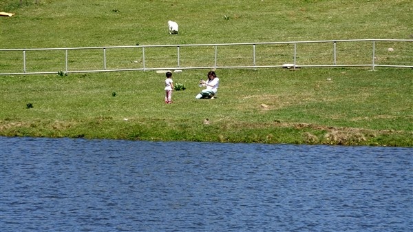 Trabzon'da 8 yapay gölün ilki tamamlandı 11