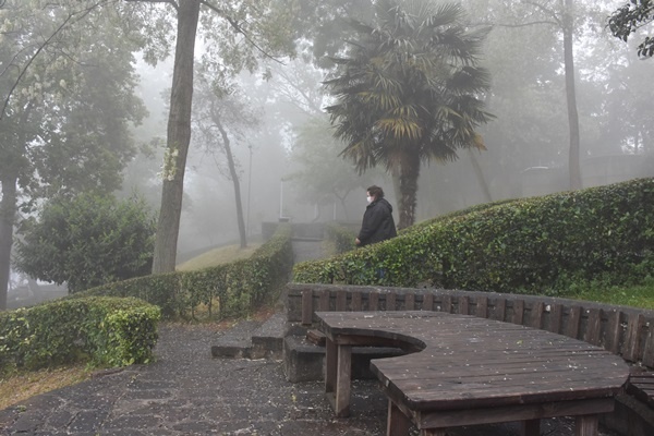 Trabzon'da sis etkili oldu 5