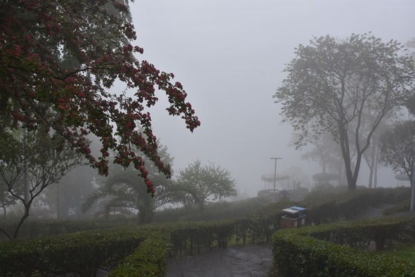 Trabzon'da sis etkili oldu 6