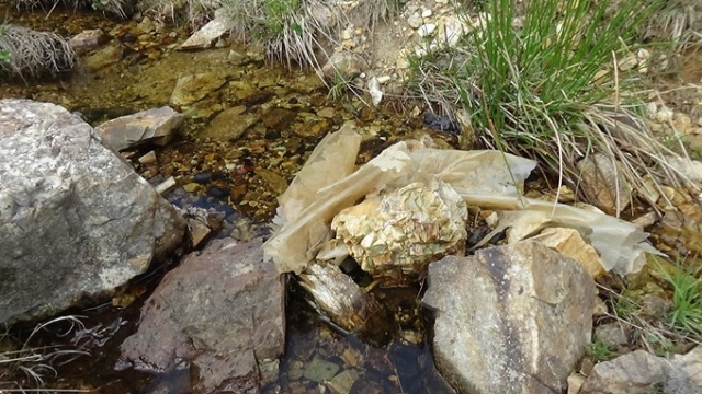 Trabzon'un doğal sit alanında yangın ve kuraklık tehlikesi 10