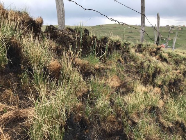 Trabzon'un doğal sit alanında yangın ve kuraklık tehlikesi 6