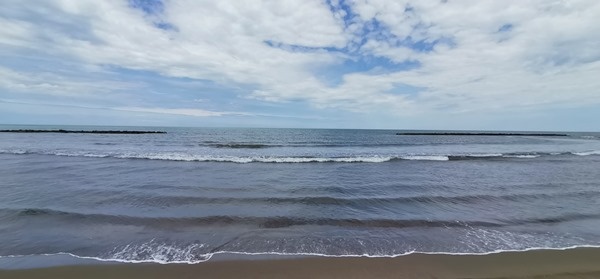 Doğu Karadeniz’de Deniz salyası alarmı 4