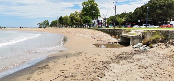 Doğu Karadeniz’de Deniz salyası alarmı 5