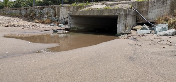 Doğu Karadeniz’de Deniz salyası alarmı 6