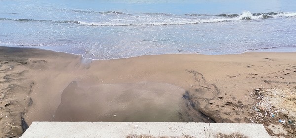 Doğu Karadeniz’de Deniz salyası alarmı 8