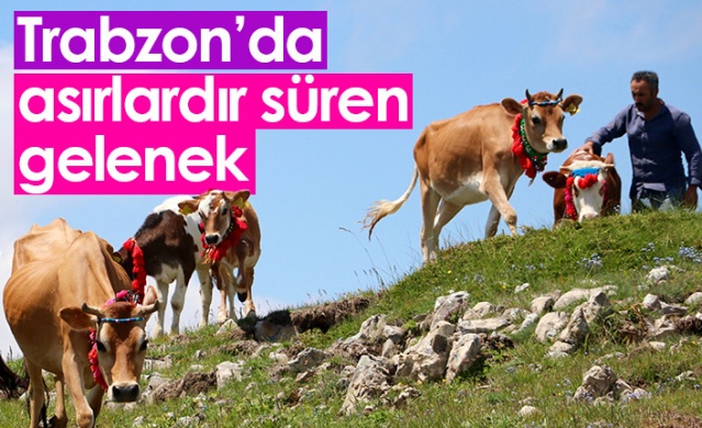 Trabzon'da asırlardır süren gelenek 1