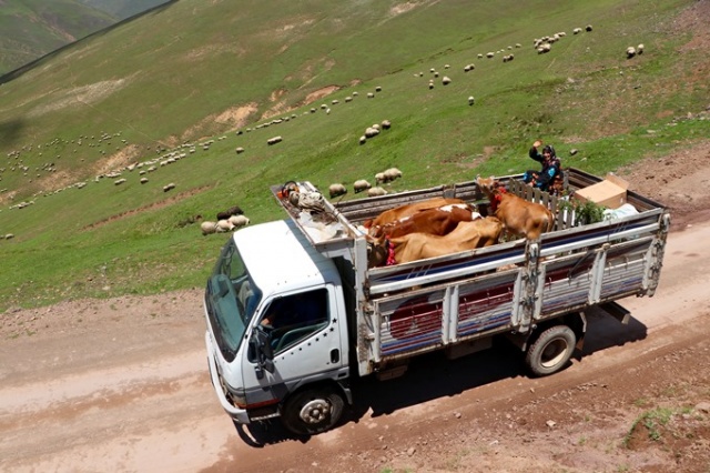 Trabzon'da asırlardır süren gelenek 8