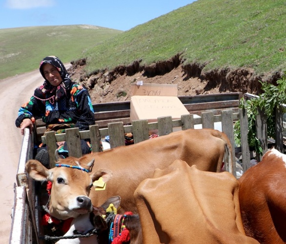 Trabzon'da asırlardır süren gelenek 17