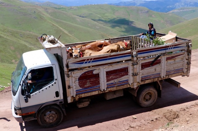 Trabzon'da asırlardır süren gelenek 7