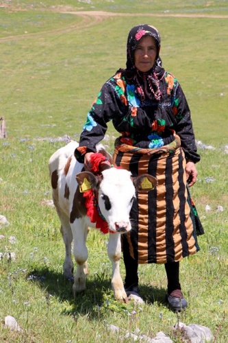 Trabzon'da asırlardır süren gelenek 9
