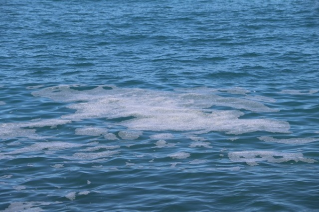 Karadeniz'de panik yaratmıştı, bakın ne çıktı.. 2