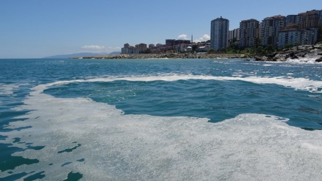 Karadeniz'de panik yaratmıştı, bakın ne çıktı.. 13