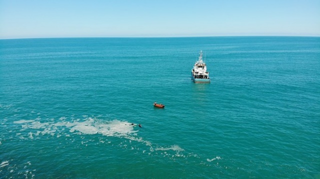 Karadeniz'de panik yaratmıştı, bakın ne çıktı.. 4