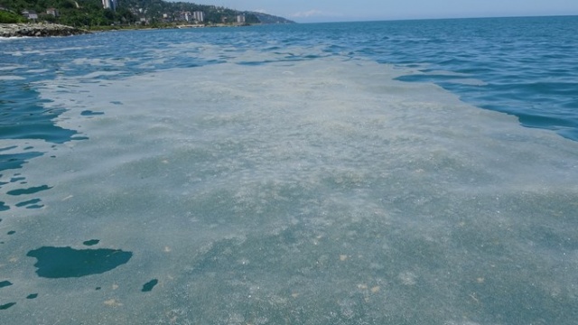 Karadeniz'de panik yaratmıştı, bakın ne çıktı.. 9