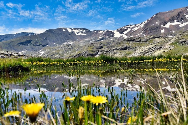 Gümüşhane’deki Artabel Gölleri Tabiat Parkı ziyaretçilerine muhteşem manzaralar sunuyor 8