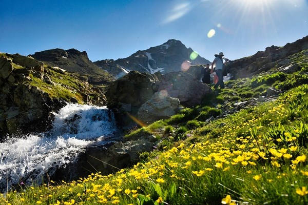 Gümüşhane’deki Artabel Gölleri Tabiat Parkı ziyaretçilerine muhteşem manzaralar sunuyor 5