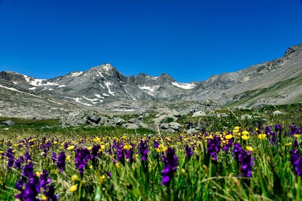 Gümüşhane’deki Artabel Gölleri Tabiat Parkı ziyaretçilerine muhteşem manzaralar sunuyor 12
