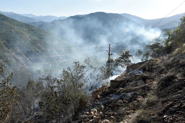 Gümüşhane’de yangın! 3 hektarlık alan 4 ev küle döndü 7