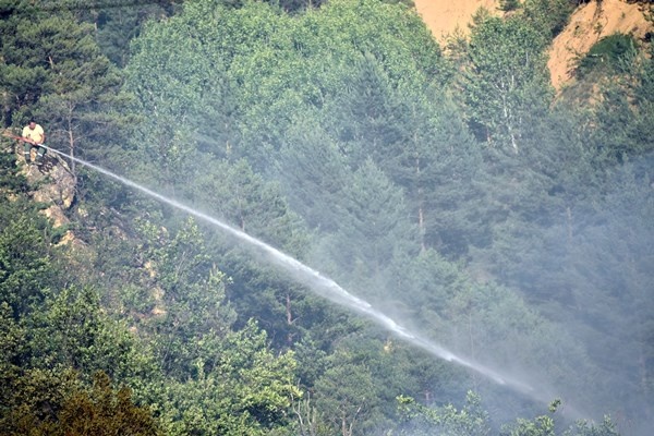 Gümüşhane’de yangın! 3 hektarlık alan 4 ev küle döndü 6