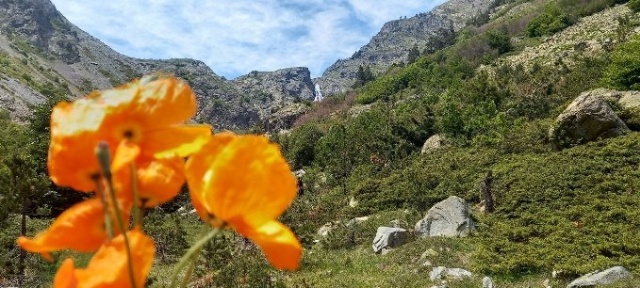 Türkiye’nin en yüksek şelalesi Ciro'ya ilgi yoğun 16