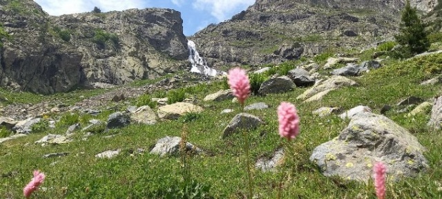 Türkiye’nin en yüksek şelalesi Ciro'ya ilgi yoğun 3