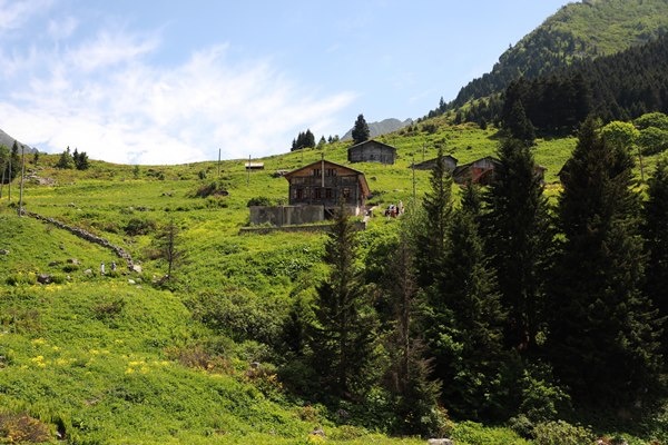 Karadeniz'in yeni gözdesi Elevit Yaylası ziyaretçilerine adeta nefes oluyor 7