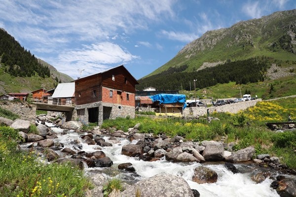 Karadeniz'in yeni gözdesi Elevit Yaylası ziyaretçilerine adeta nefes oluyor 19
