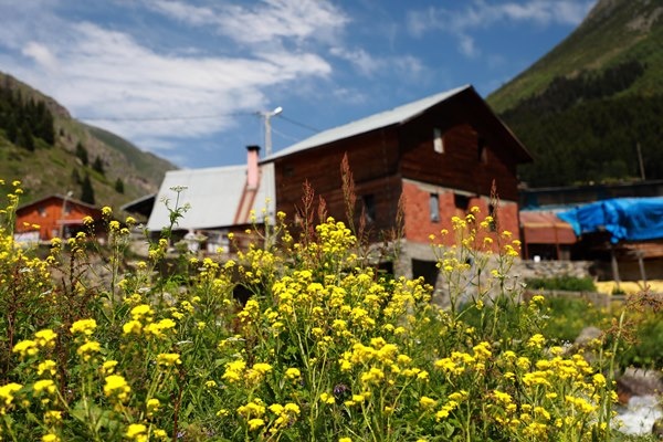 Karadeniz'in yeni gözdesi Elevit Yaylası ziyaretçilerine adeta nefes oluyor 11