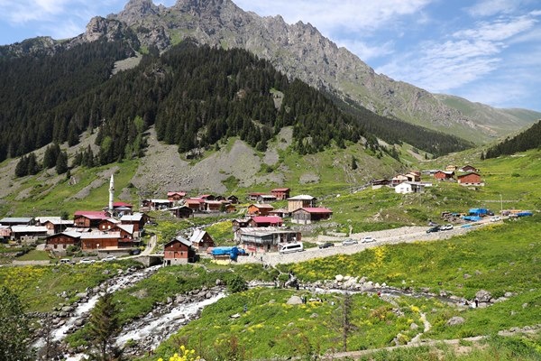 Karadeniz'in yeni gözdesi Elevit Yaylası ziyaretçilerine adeta nefes oluyor 20