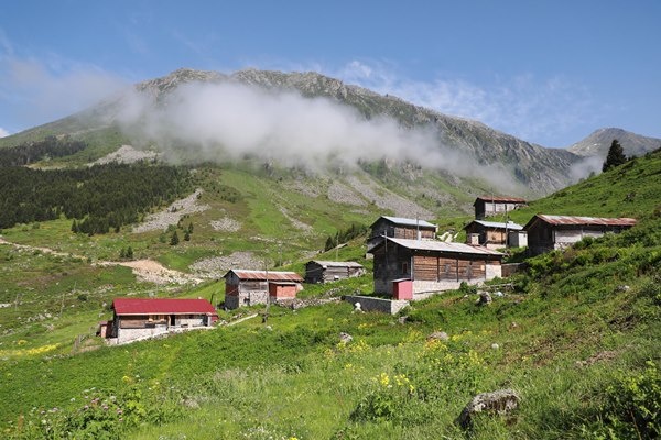 Karadeniz'in yeni gözdesi Elevit Yaylası ziyaretçilerine adeta nefes oluyor 15