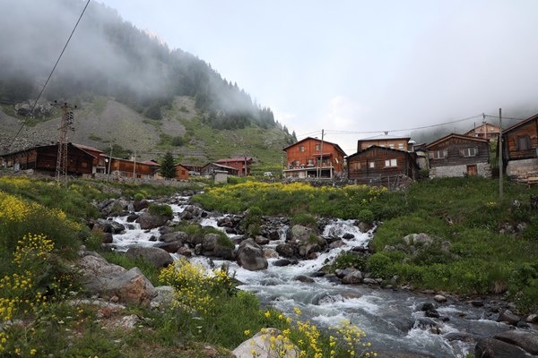 Karadeniz'in yeni gözdesi Elevit Yaylası ziyaretçilerine adeta nefes oluyor 3