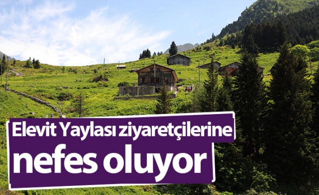 Karadeniz'in yeni gözdesi Elevit Yaylası ziyaretçilerine adeta nefes oluyor 1