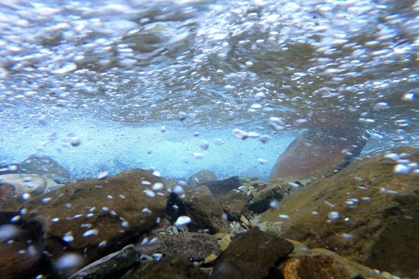 Serinlemek isteyen Tomara Şelalesi'nin yolunu tutuyor 9