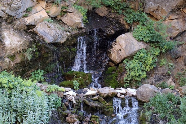 Serinlemek isteyen Tomara Şelalesi'nin yolunu tutuyor 6