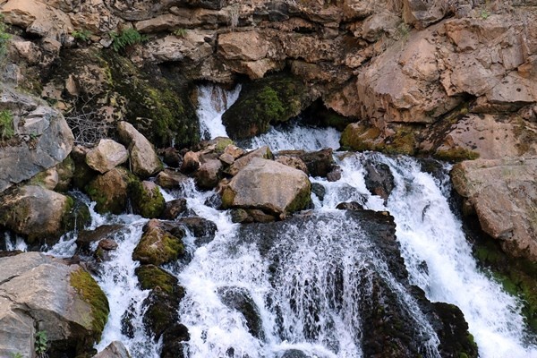 Serinlemek isteyen Tomara Şelalesi'nin yolunu tutuyor 5