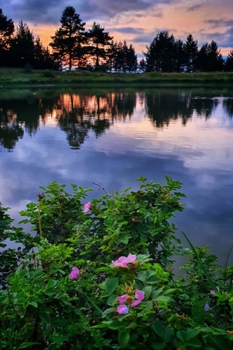 Altınpınar Limni Gölü güzelliğiyle büyülüyor 2